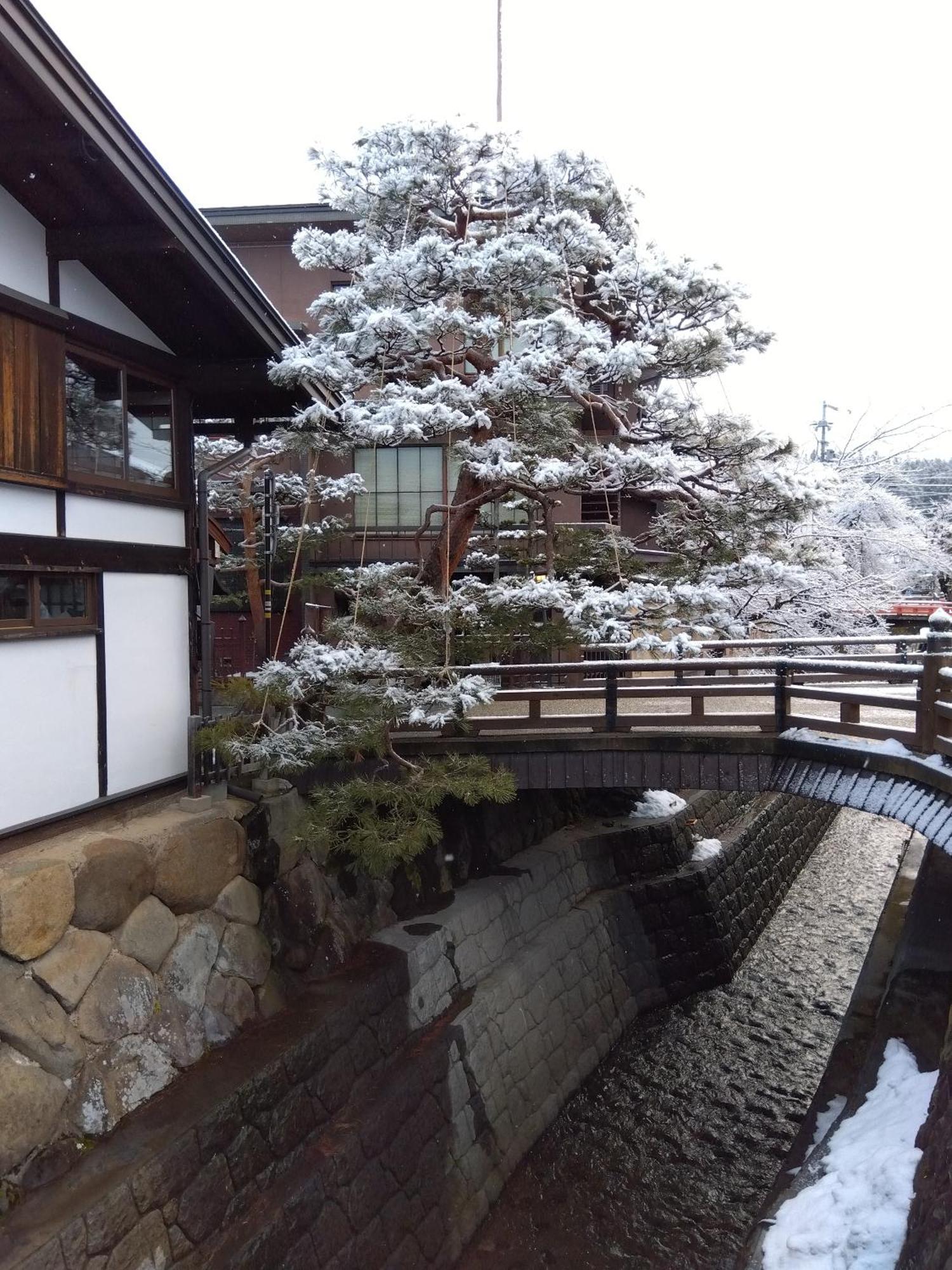 Hotel Daihachi à Takayama  Extérieur photo